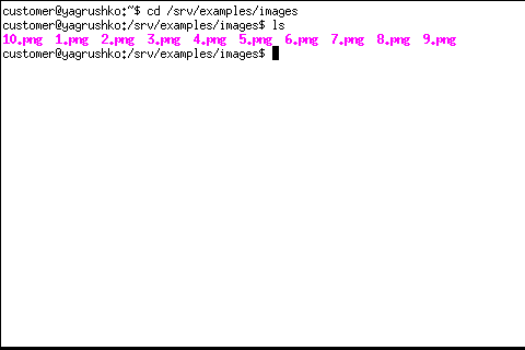 Скриншот xterm